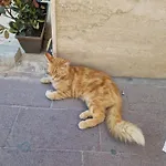 Privat bolig Sir Patrick's Ghajn il-Kbira (Gozo)